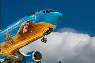 Turn Long Flights Into Pleasure: 10 Golden Tips for a Comfortable Journey